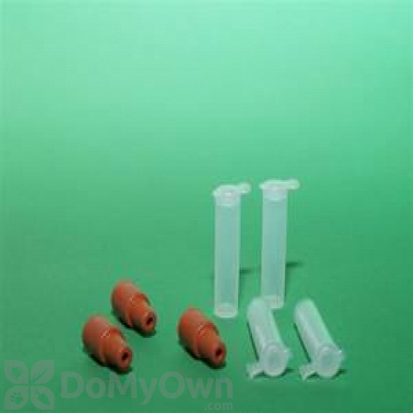 Koppert Pherodis Cacoecimorpha Pronubana - Carnation Tortrix (80