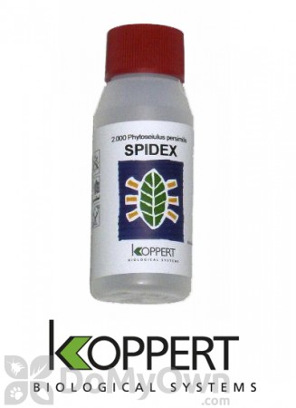 Koppert Spidex (Phytoseiulus persimilis) 500 ml