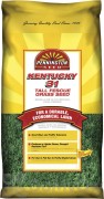 Pennington Kentucky 31 Fescue Plain With Rapid Results 
