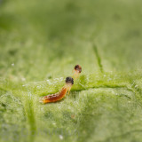 Alternate Image 1 Thumbnail