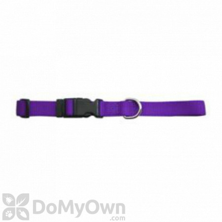 Leather Brothers Kwik Klip Adjustable Dog Collar 1 in. - Purple