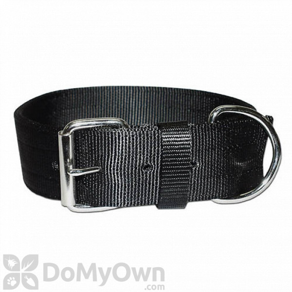 Leather Brothers Bravo Regular Two - Ply Nylon Collar 2 in. x 25 in. 