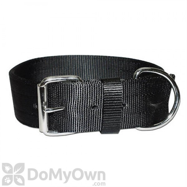 Leather Brothers Bravo Regular Two - Ply Nylon Collar 2 in. x 29 in.