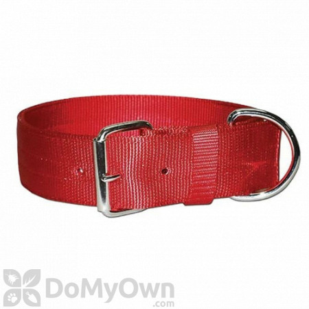 Leather Brothers Bravo Regular Two - Ply Nylon Collar 2 in. x 23 in. 