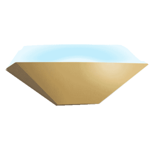 LED Fly Lights