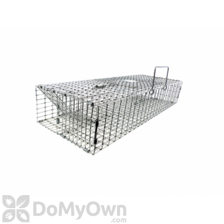 M35H Double Door Extra Large Multiple Catch Live Trap for Small Rodent Sized Animals