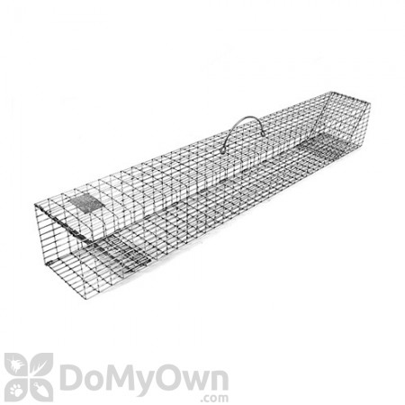 M50 Double Door Multiple Catch Live Trap for large rodent sized animals