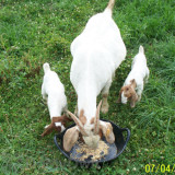 Alternate Image 1 Thumbnail