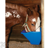 Alternate Image 1 Thumbnail