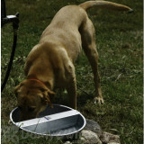 Alternate Image 2 Thumbnail