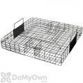 Little Giant Squirrel Trap
