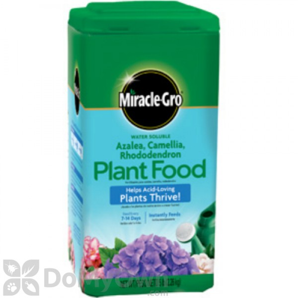 Miracle-Gro Water Soluble Azalea, Camellia, Rhododendron Plant F