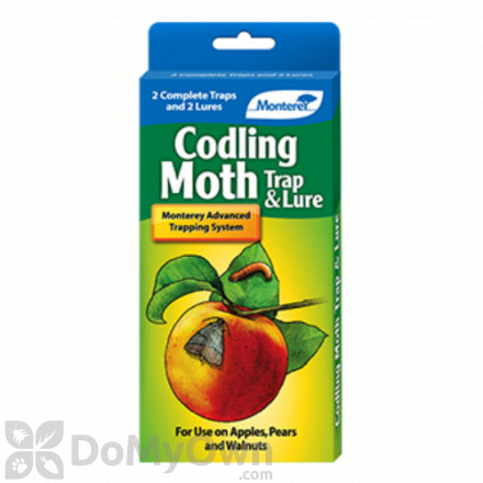 Monterey Codling Moth Trap and Lure