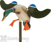 MOJO Baby Duck Drake Decoy