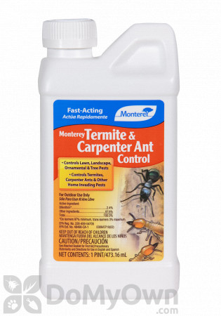 Monterey Termite and Carpenter Ant Control Quart