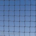 Bird Barrier 3 / 4 in. Black StealthNet Standard Bird Net