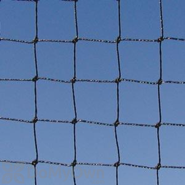 Bird Barrier 1 - 1 / 8 in. Black StealthNet 50\' x 50\' Bird Net (