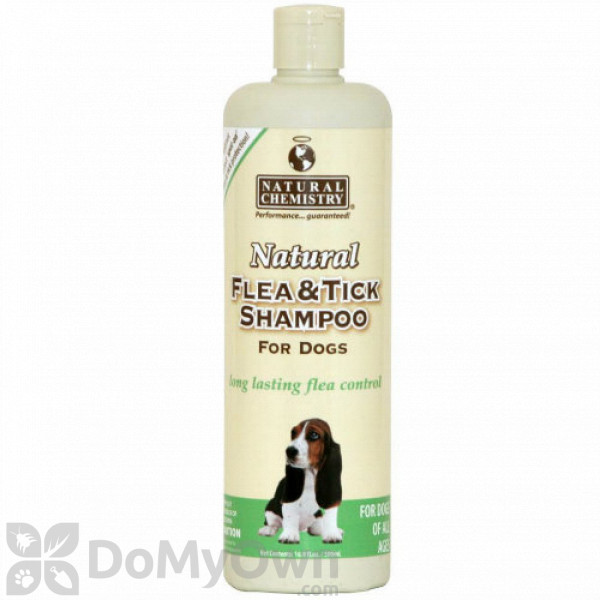 natural flea shampoo for dogs