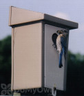 Natureline Plasticraft Bluebird Bird House (NL40100)