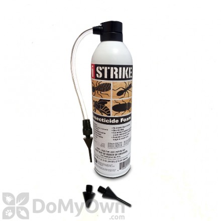 iSTRIKE Insecticide Foam