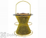 No / No Feeder Sunflower Designed Double Bird Feeder with Perch 10 in. (387CS)