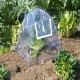NuVue Pop - UP Framed Greenhouse - Clear PVC 