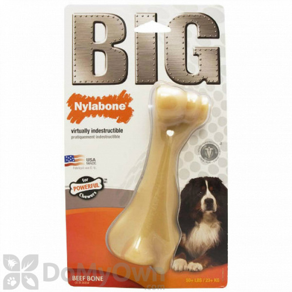 big beef bones for dogs