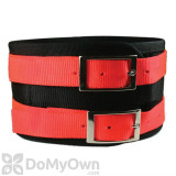 Alternate Image 1 Thumbnail