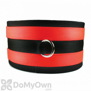 image of OmniPet Overkill Hog Dog Neon Orange Nylon Collar - X - Large