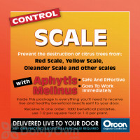 Orcon Control Scale Aphytis Melinus (5000 live adults) (AM-C5000) 
