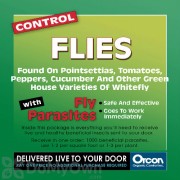 Orcon Fly Parasites (10000 eggs) (FP-C10K)
