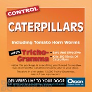 Orcon Control Caterpillars Trichogramma 