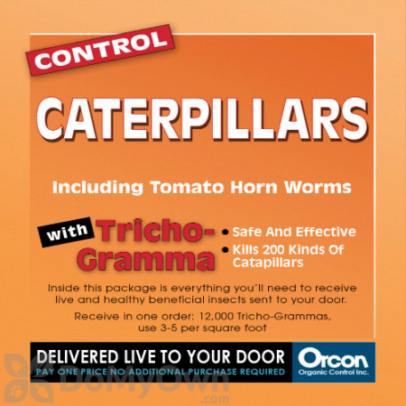 Orcon Control Caterpillars Trichogramma (12,000 eggs) (TR-C3SQ)