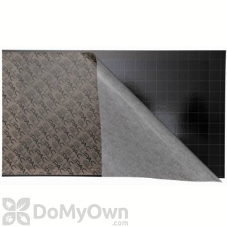 image of Flytrap Professional 80 Glupac Glue Boards (Black) GB012