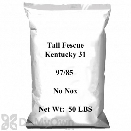 Pennington Tall Fescue Kentucky 31 97/85 No Noxious Weed Seed