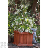 Alternate Image 1 Thumbnail