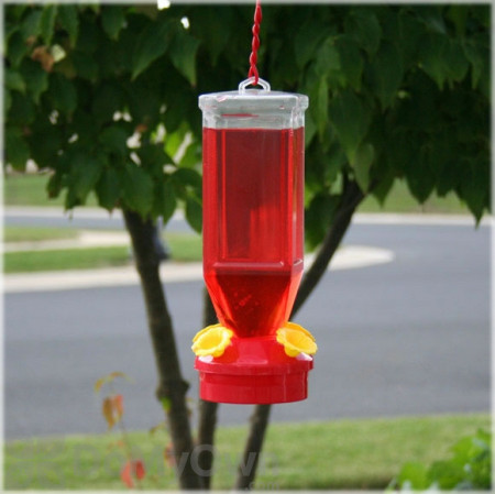 Perky Pet Lantern Design Bird Feeder 18 oz. (201)