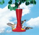 Perky Pet 3 Station Plastic Bird Feeder 8 oz. (211)