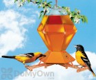Perky Pet Hex Oriole with Bee Guards Bird Feeder 36 oz. (252)