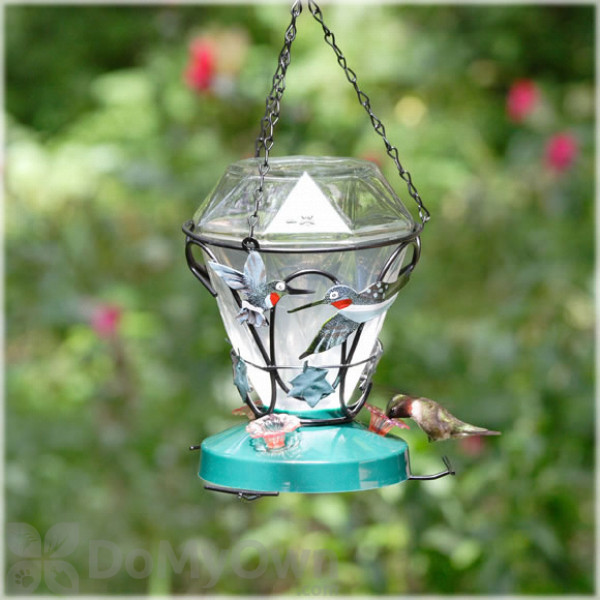 Perky Pet Hummingbird Edition Bird Feeder 24 oz. (701)