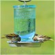 Perky Pet Wide Blue Antique Glass Bird Waterer (783)