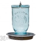 Perky Pet Wide Blue Antique Glass Bird Waterer (783)