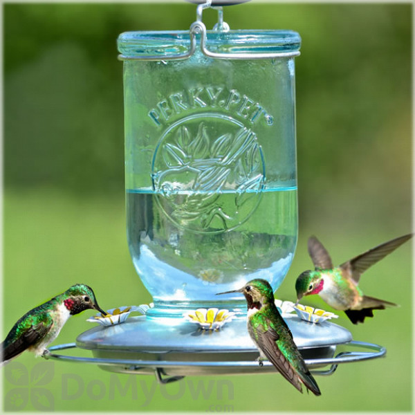 Perky-Pet Hummingbird 12 Oz Copper/Glass Nectar Feeder 4 Ports