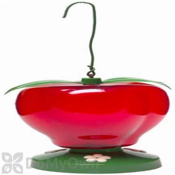 Perky Pet Apple Hummingbird Feeder 48 oz. (262)