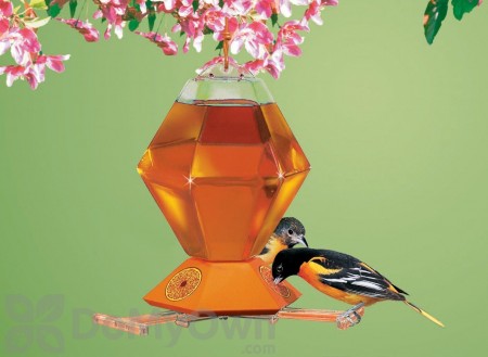 Perky Pet Oriole Nectar Bird Feeder 36 oz. (251)