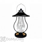 PineBush Coach Lantern Black Hummingbird Feeder 15 oz. (PINE88154)