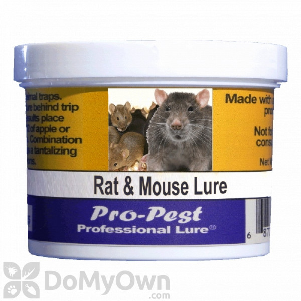 Mini Rex Mouse Trap and Provoke Mouse Attractant