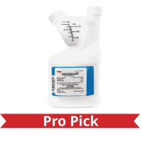 Pro Picks