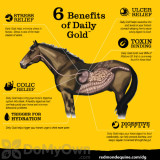 Alternate Image 2 Thumbnail