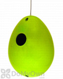 Rossos International Key Lime Eco Egg Bird House (P5720)
